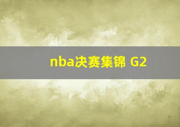 nba决赛集锦 G2